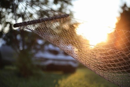 Hammock at sunset